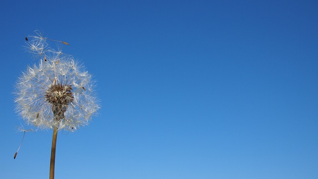 青空